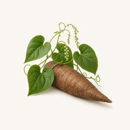 Dioscorea floribunda - natural source of Diosgenin supplement