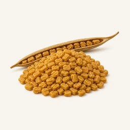 Fenugreek seeds - natural source of Diosgenin supplement