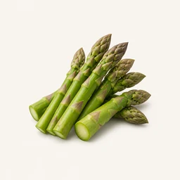 Asparagus - natural source of Ecdysterone supplement