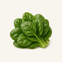 Spinach - natural source of Ecdysterone supplement