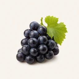 Black grapes - natural source of Epicatechin supplement