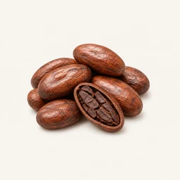 Cacao beans - natural source of Epicatechin supplement