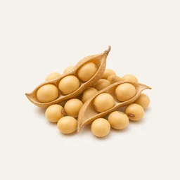Soybeans - natural source of Spermidine supplement