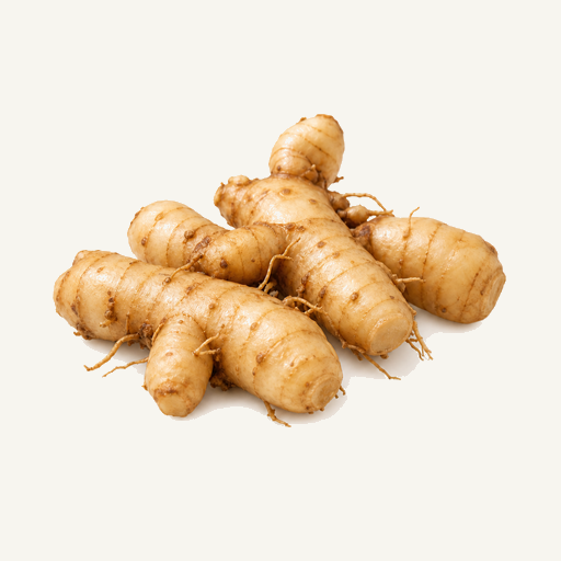 Cyanotis arachnoidea rhizomes - natural source of Turkesterone supplement