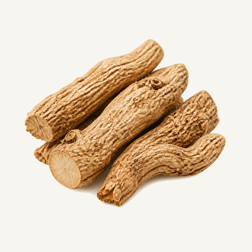 Rhaponticum acaule roots - natural source of Turkesterone supplement